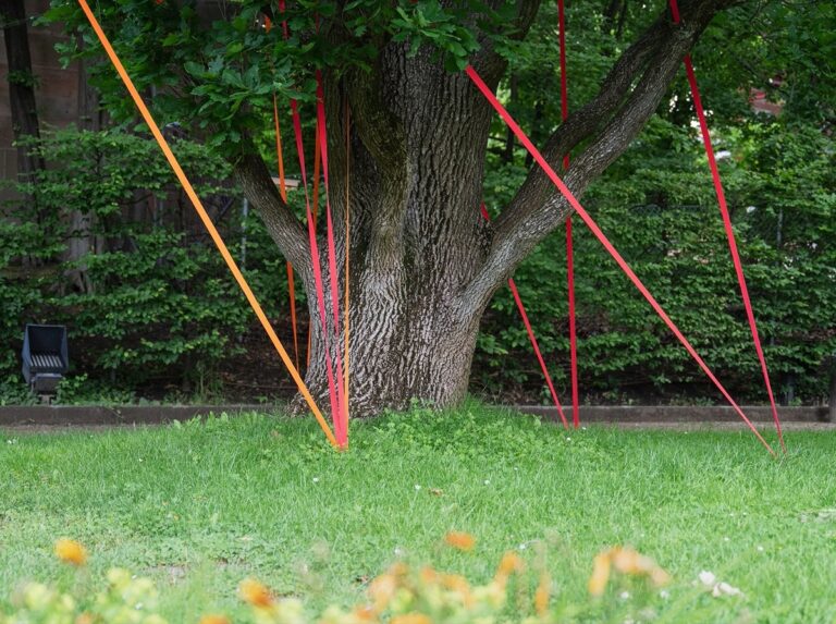 Alexandra Schlund Installation